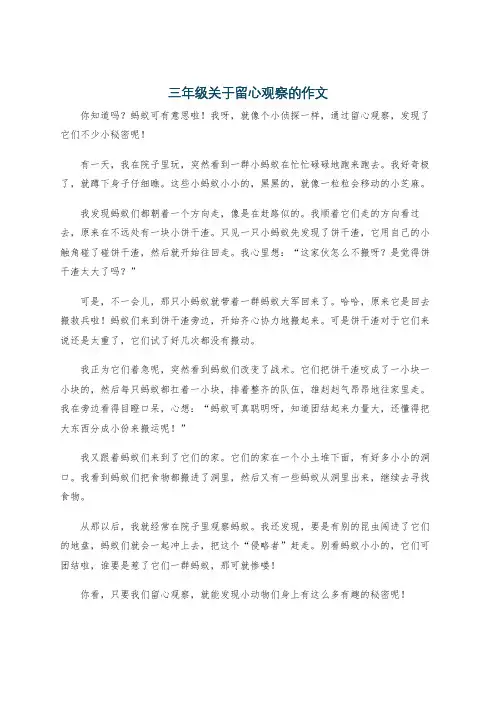 三年级关于留心观察的作文