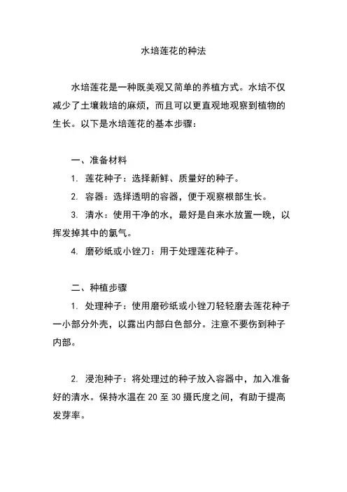 水培莲花的种法