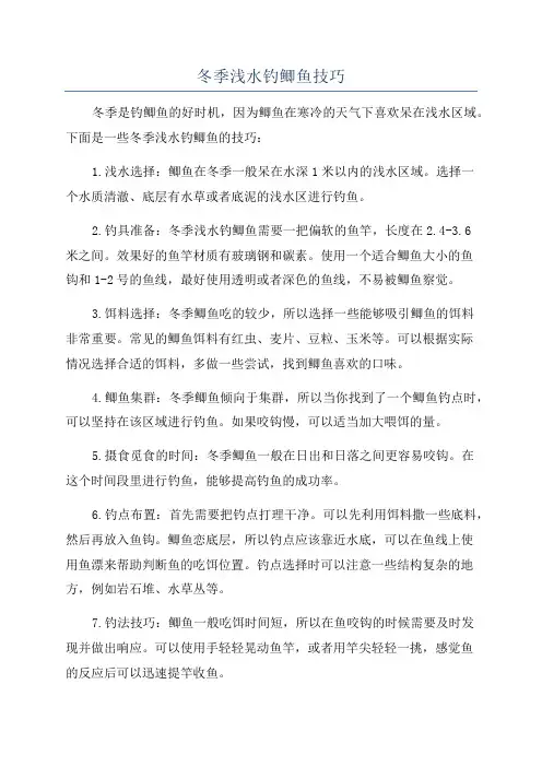冬季浅水钓鲫鱼技巧