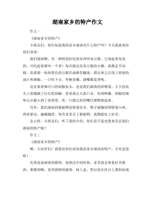 湖南家乡的特产作文