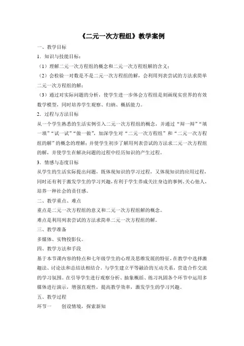 初中数学《二元一次方程组》教学案例