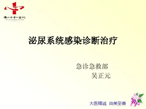 泌尿系统感染(2016年指南)