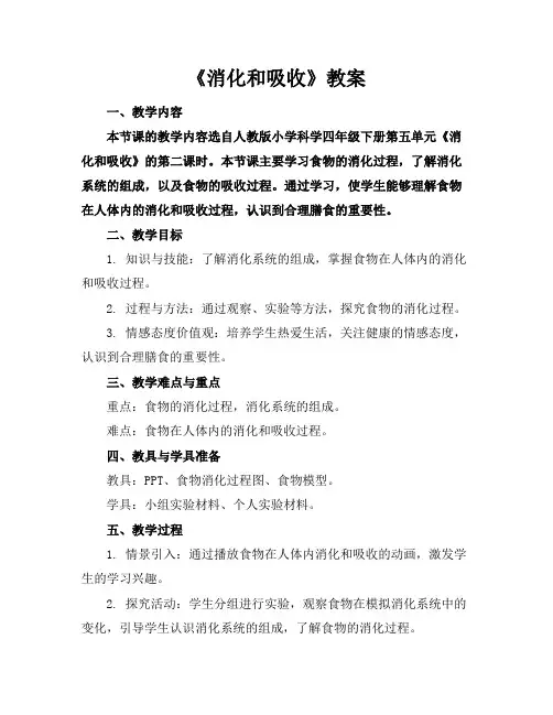 《消化和吸收》教案