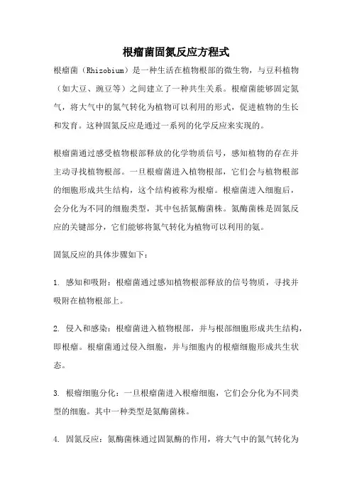 根瘤菌固氮反应方程式