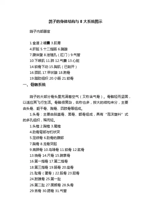 鸽子的身体结构与8大系统图示