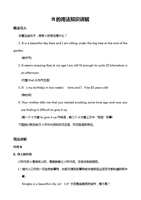 it的用法知识讲解