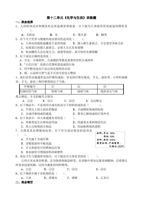 2022年第十二单元 化学与生活训练题单元测试及答案(人教版九年级下化学)