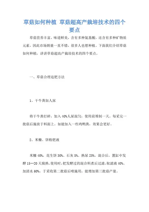 草菇如何种植 草菇超高产栽培技术的四个要点