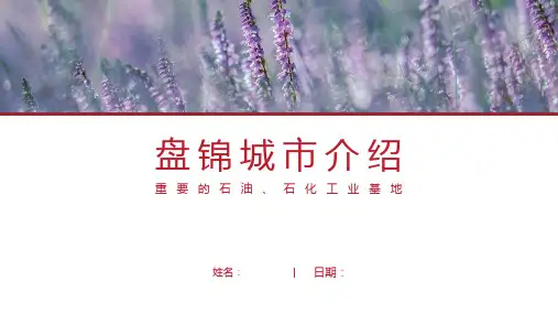盘锦介绍-盘锦简介PPT(经典版)