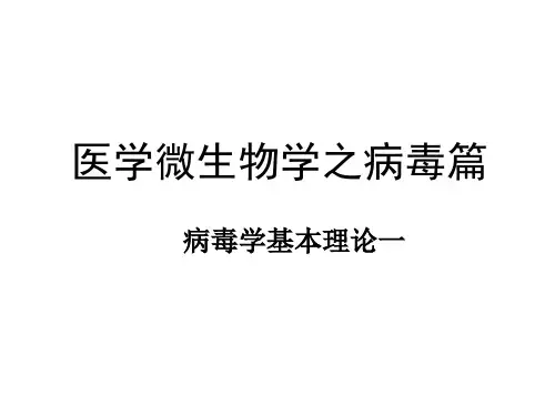 医学微生物学之病毒篇