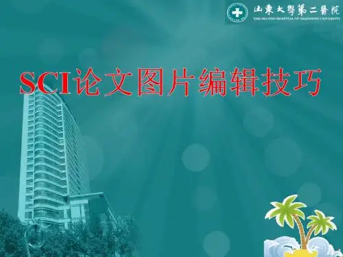 SCI论文图片编辑技巧