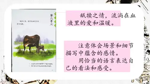 18 慈母情深 课件(共33张PPT).ppt