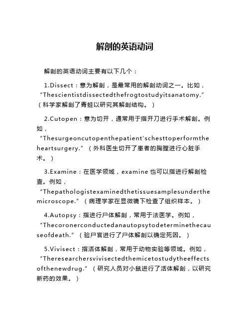 解剖的英语动词