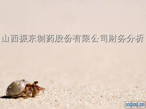 振东制药财务分析 (1)
