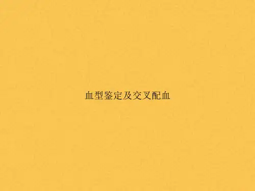 血型鉴定及交叉配血
