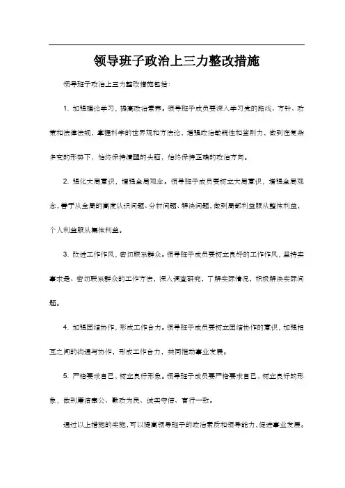 领导班子政治上三力整改措施