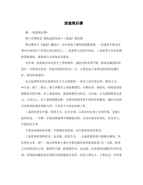 迷途观后感