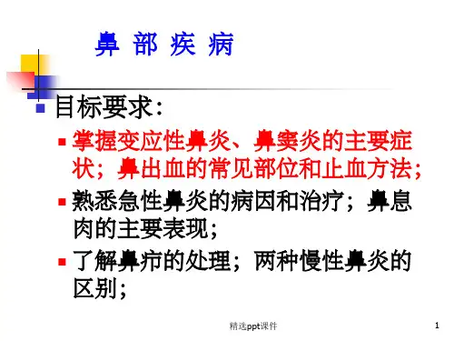 《鼻部疾病》PPT课件