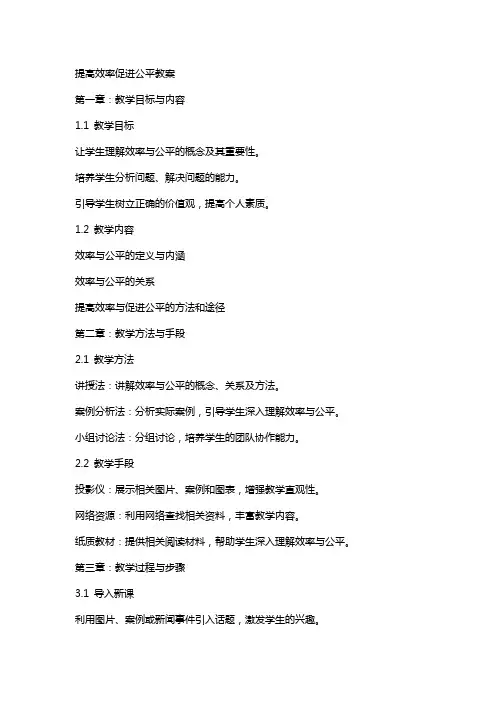 提高效率促进公平教案