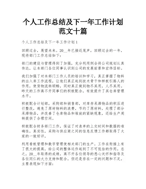 个人工作总结及下一年工作计划范文十篇