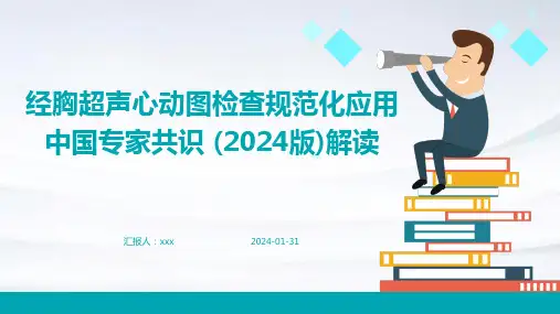 经胸超声心动图检查规范化应用中国专家共识 (2024版)解读PPT课件