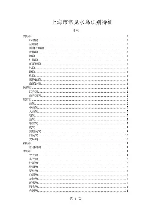 上海市常见水鸟识别特征共17页文档
