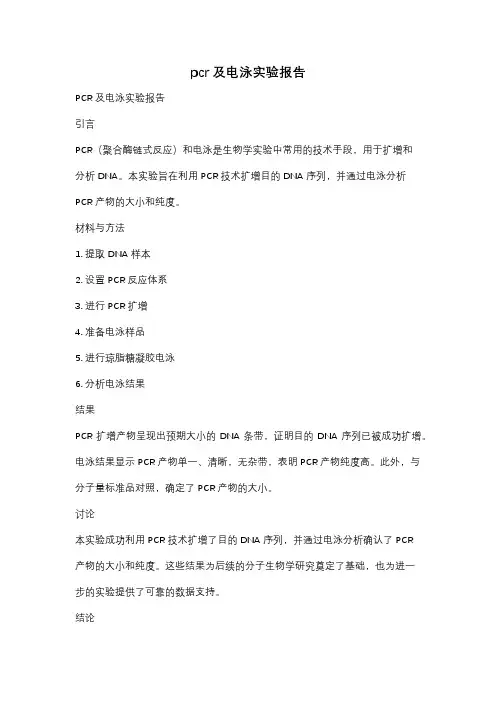 pcr及电泳实验报告