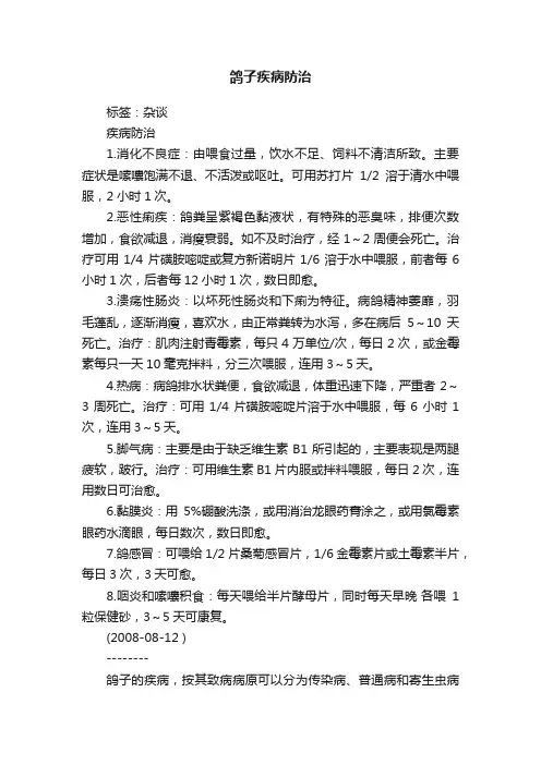 鸽子疾病防治