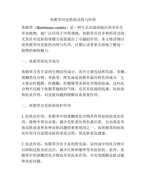 鱼腥草对皮肤的功效与作用