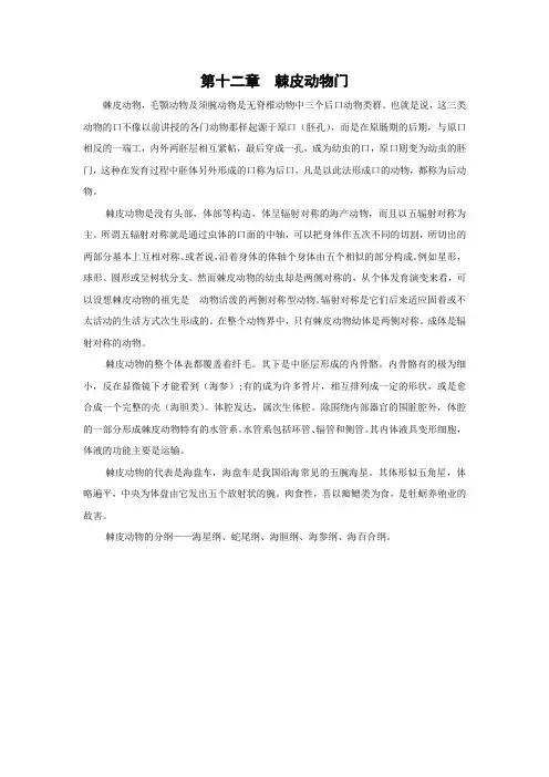棘皮动物门
