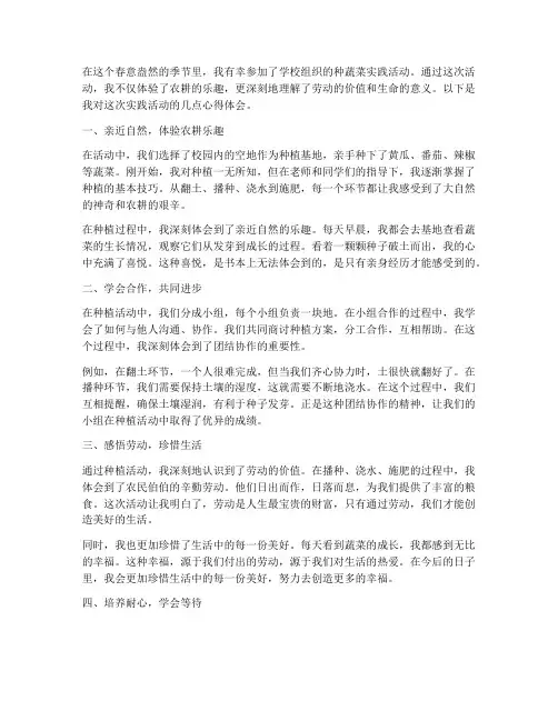 种蔬菜实践活动心得体会