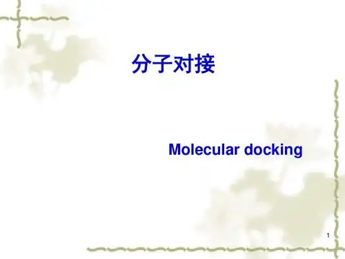 分子对接方法