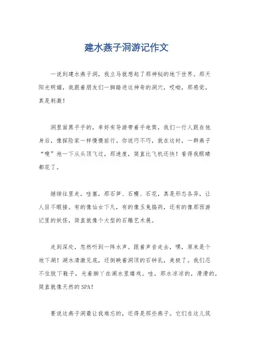 建水燕子洞游记作文