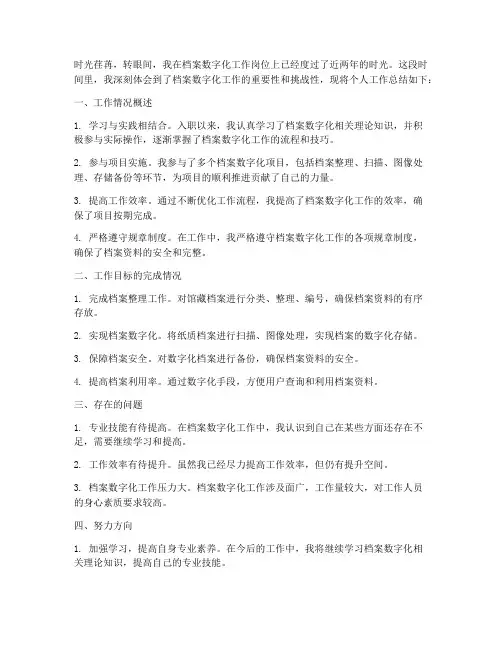 档案数字化工作总结个人