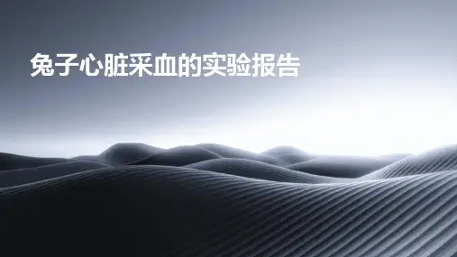 兔子心脏采血的实验报告PPT