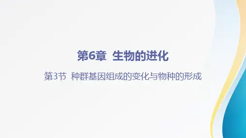 6-3 种群基因组成的变化与物种的形成-高一生物同步精品课件(人教版2019必修2)