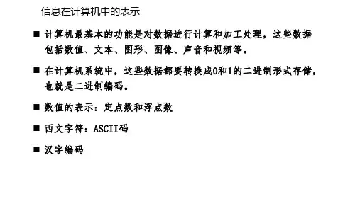 信息的表示