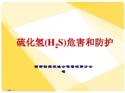 硫化氢危害及防护