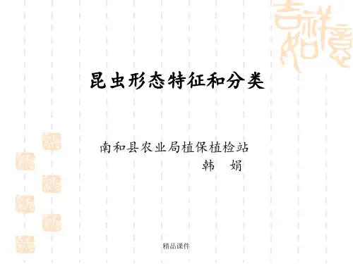 昆虫形态特征和分类ppt课件