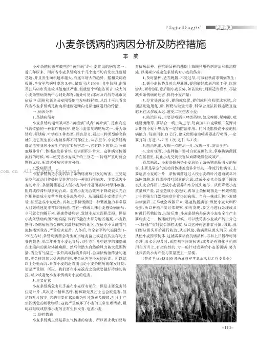 小麦条锈病的病因分析及防控措施