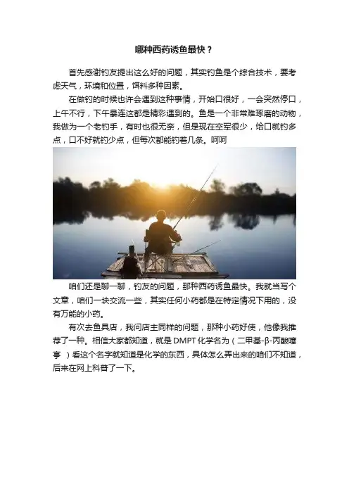 哪种西药诱鱼最快？
