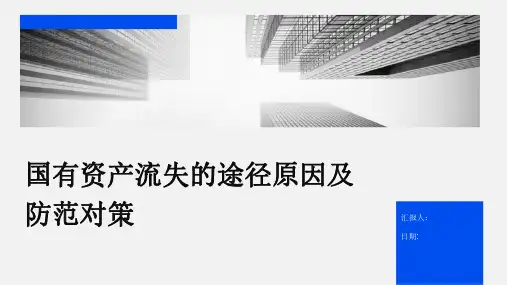 国有资产流失的途径原因及防范对策