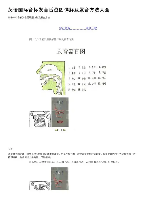 英语国际音标发音舌位图详解及发音方法大全