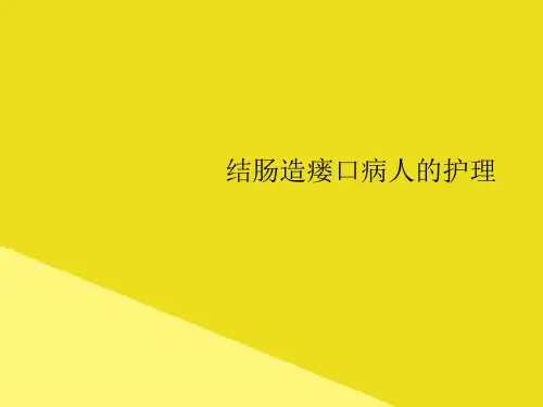 结肠造瘘口病人的护理PPT资料(正式版)