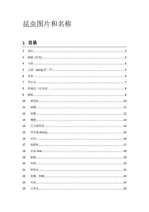 常见小虫