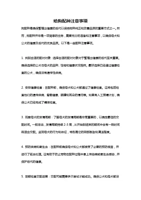 给狗配种注意事项