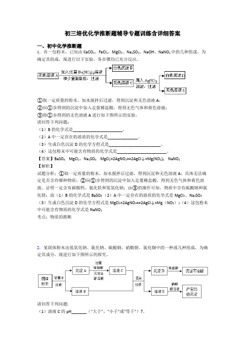 初三培优化学推断题辅导专题训练含详细答案