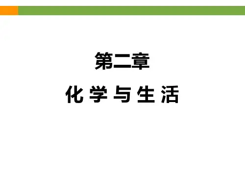 《化学与生活》专题复习课件(共33张PPT)