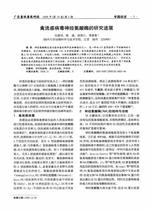 禽流感病毒神经氨酸酶的研究进展