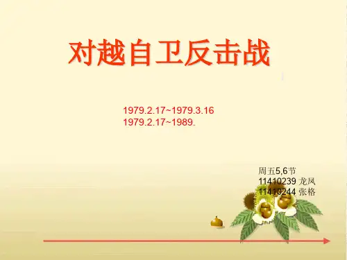 对越自卫反击战-37页PPT资料